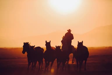 Mustang Gold – păcănele în stil cowboy, recenzie completă