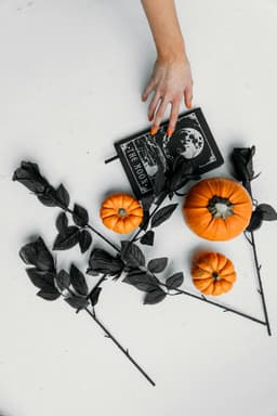 Recenzie completă: Book of Dead – legendă sau exagerare?