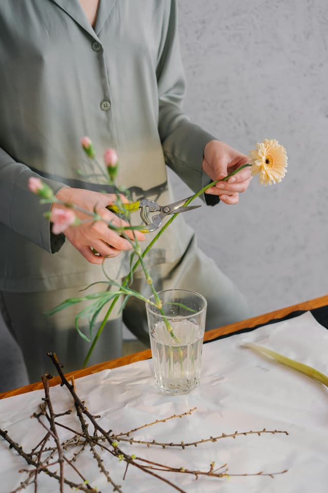 Ritualurile norocoase: placebo sau calm mental?